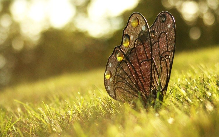 трава, бабочка, украшение, grass, butterfly, decoration