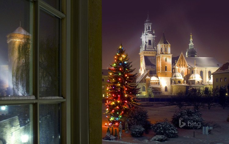 елка, замок, рождество, польша, bing, краков, вавельский замок, tree, castle, christmas, poland, krakow, wawel castle