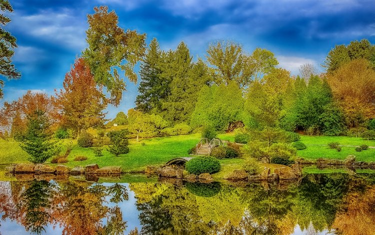 деревья, озеро, отражение, пейзаж, парк, осень, trees, lake, reflection, landscape, park, autumn