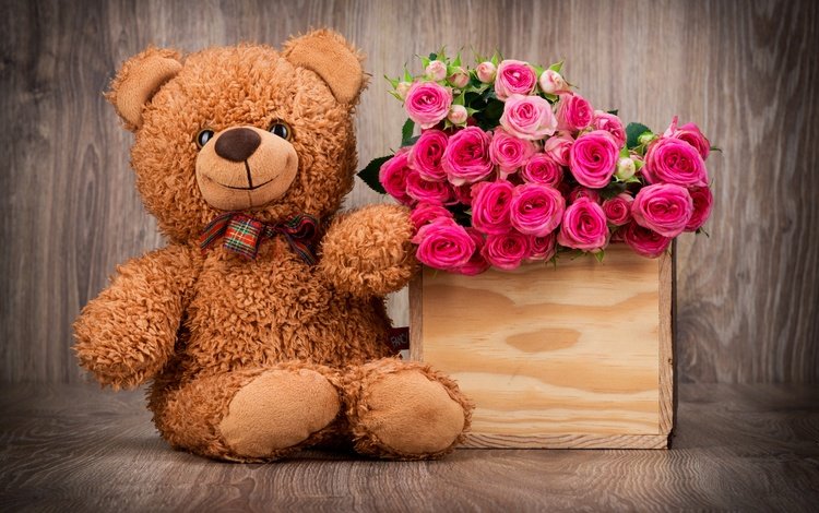 обои, любовь, роз, плюшевый медведь, букет красивых цветов, романтические, wallpaper, love, roses, teddy bear, a bouquet of beautiful flowers, romantic