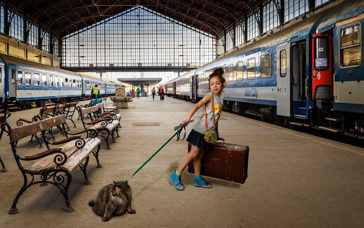 кошка, девочка, поезд, чемодан, вагоны, перрон, cat, girl, train, suitcase, cars, the platform