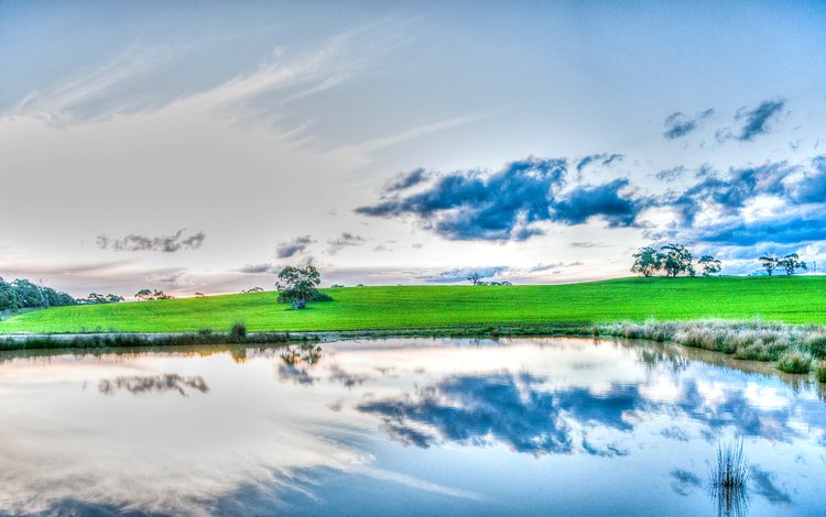 небо, трава, облака, деревья, озеро, отражение, the sky, grass, clouds, trees, lake, reflection