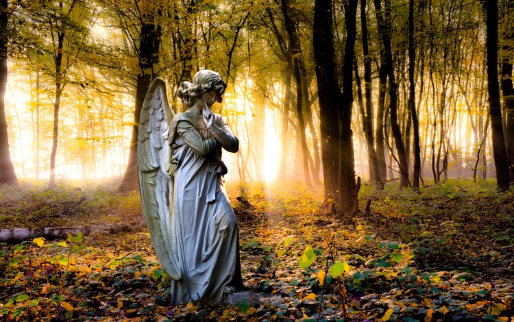 деревья, парк, осень, ангел, статуя, trees, park, autumn, angel, statue