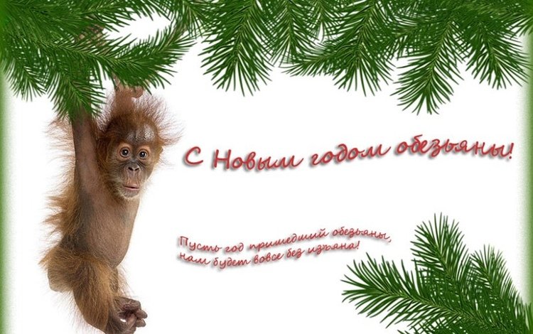 новый год, обезьяна, пожелание, new year, monkey, wish