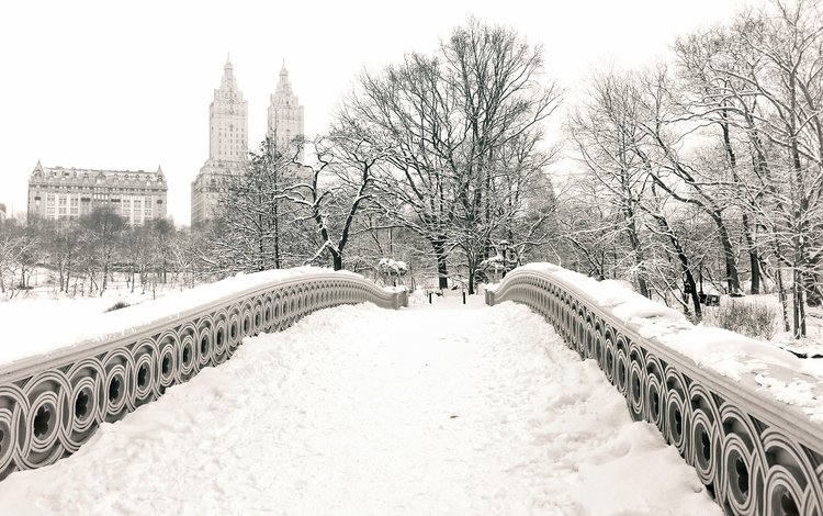 снег, зима, мост, чёрно-белое, нью йорк, центральный парк, snow, winter, bridge, black and white, new york, central park