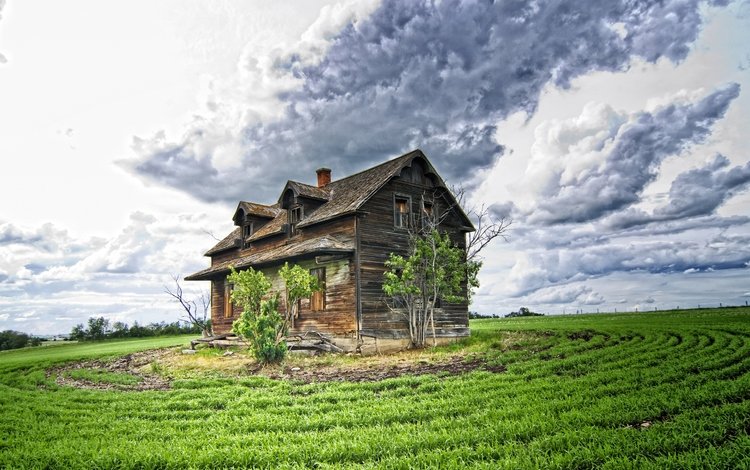 небо, облака, пейзаж, поле, старый заброшенный дом, the sky, clouds, landscape, field, old abandoned house