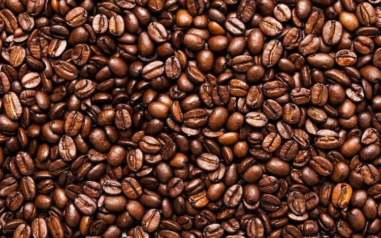 зерна, кофе, семена, toasted, grain, coffee, seeds