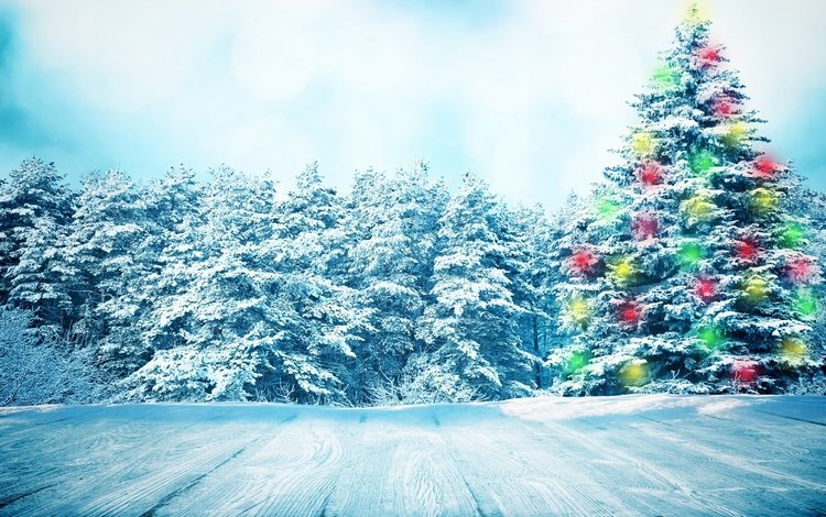 снег, природа, новый год, елка, лес, зима, снежинки, snow, nature, new year, tree, forest, winter, snowflakes