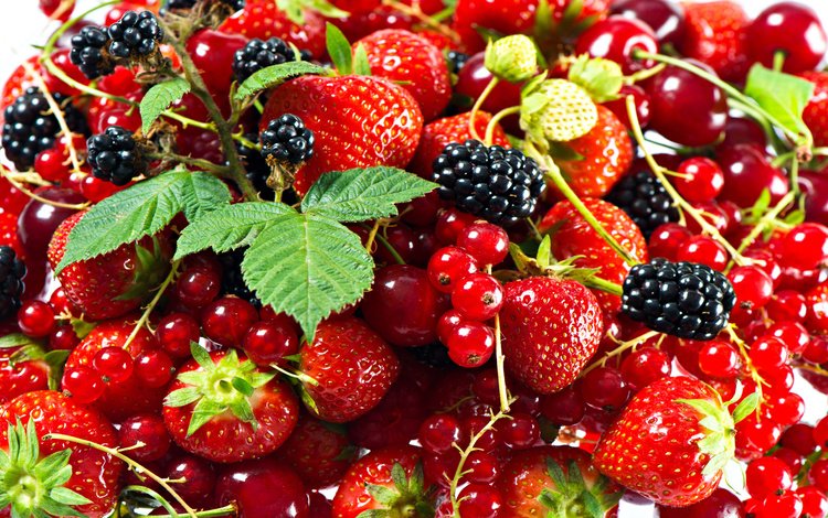 вкус, клубника, ягоды, земляника, ежевика, смородина, виктория, taste, strawberry, berries, strawberries, blackberry, currants, victoria