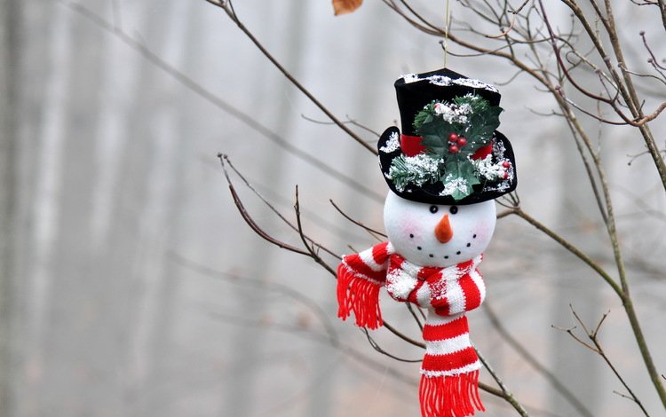 ветки, игрушка, снеговик, праздник, branches, toy, snowman, holiday