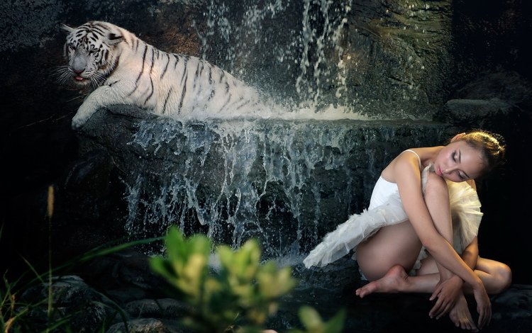 тигр, балерина, вода, девушка, фон, водопад, ситуация, боке, белый тигр, tiger, ballerina, water, girl, background, waterfall, the situation, bokeh, white tiger