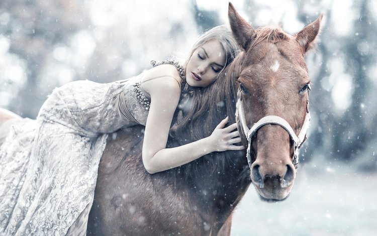 лошадь, снег, девушка, сон, queen maud, алессандро ди чикко, horse, snow, girl, sleep, alessandro di cicco