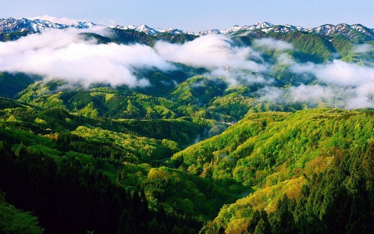 горы, холмы, зелёный, пейзаж, туман, леса, mountains, hills, green, landscape, fog, forest