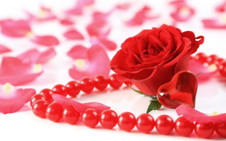 цветок, роза, лепестки, сердечко, сердце, бусы, украшение, valentines day, bead, flower, rose, petals, heart, beads, decoration