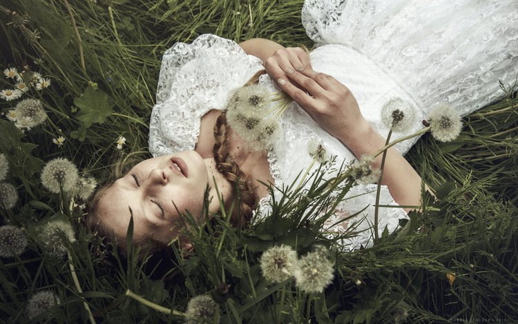 цветы, трава, девушка, фон, одуванчики, белое платье, закрытые глаза, dorota górecka, thinloth, flowers, grass, girl, background, dandelions, white dress, closed eyes