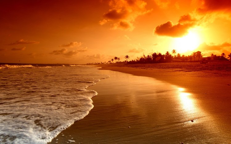 небо, пальмы, облака, восход солнца, вода, природа, волны, пейзаж, море, пляж, the sky, palm trees, clouds, sunrise, water, nature, wave, landscape, sea, beach