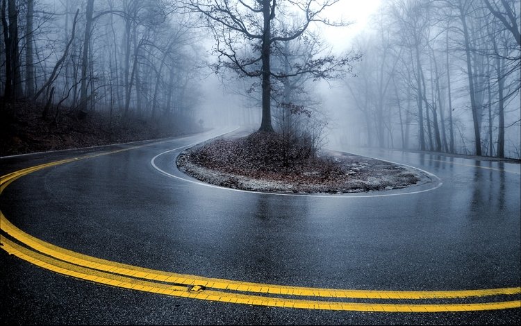 дорога, деревья, туман, осень, поворот, road, trees, fog, autumn, turn