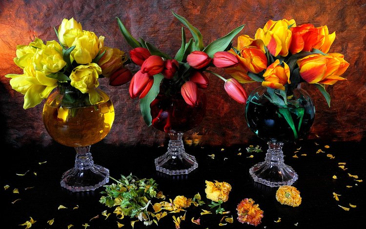 цветы, бутоны, листья, лепестки, тюльпаны, натюрморт, вазы, flowers, buds, leaves, petals, tulips, still life, vases