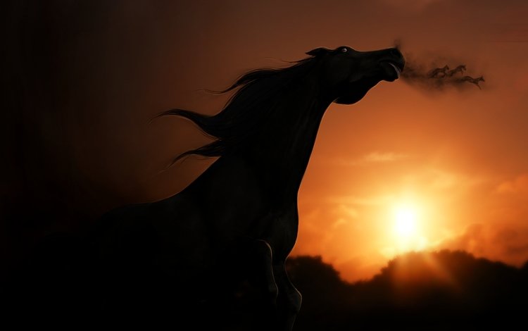 небо, лошадь, закат, взгляд, тень, рендеринг, the sky, horse, sunset, look, shadow, rendering