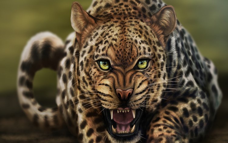 морда, арт, кошка, взгляд, леопард, рычание, face, art, cat, look, leopard, growl
