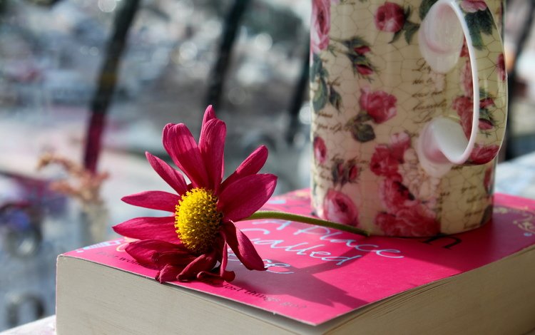 цветок, лепестки, кружка, розовые, чашка, книга, flower, petals, mug, pink, cup, book