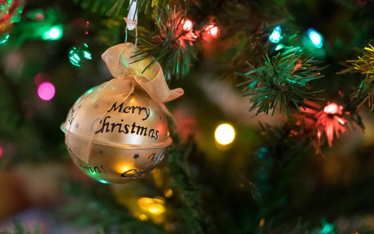 новый год, елка, игрушка, рождество, новогодние украшения, елочная, new year, tree, toy, christmas, christmas decorations