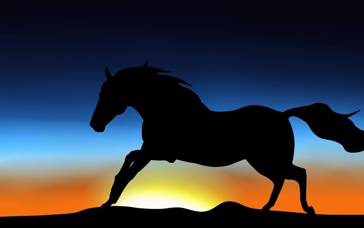 небо, лошадь, силуэт, животное, грива, хвост, скачет, the sky, horse, silhouette, animal, mane, tail, jump