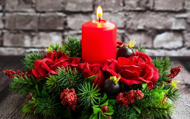 цветы, елка, свеча, рождество, краcный, красное,  цветы, елочная, flowers, tree, candle, christmas, red