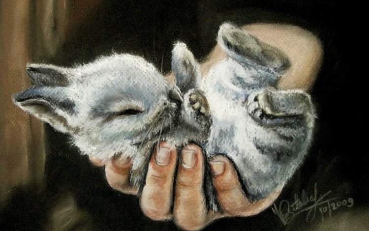 рука, маленький, человек, ушки, живопись, лапки, крольчонок, hand, small, people, ears, painting, legs, rabbit