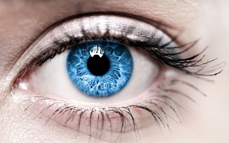 синий, глаз, женщина, голубая, глазок, ирис, blue, eyes, woman, eye, iris
