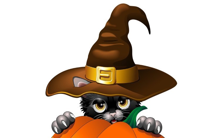 вектор, черный кот, взгляд, ушки, когти, праздник, шляпа, хеллоуин, тыква, vector, black cat, look, ears, claws, holiday, hat, halloween, pumpkin