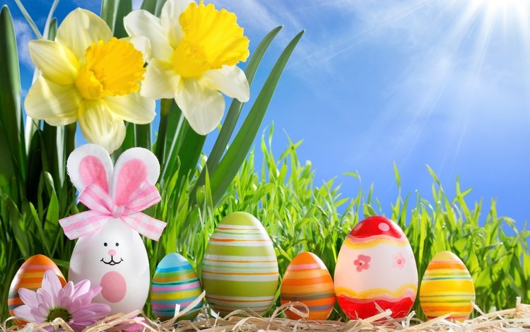 цветы, зеленые пасхальные, солнце, разноцветные, весна, пасха, яйца, нарциссы,  цветы, глазунья, flowers, the sun, colorful, spring, easter, eggs, daffodils