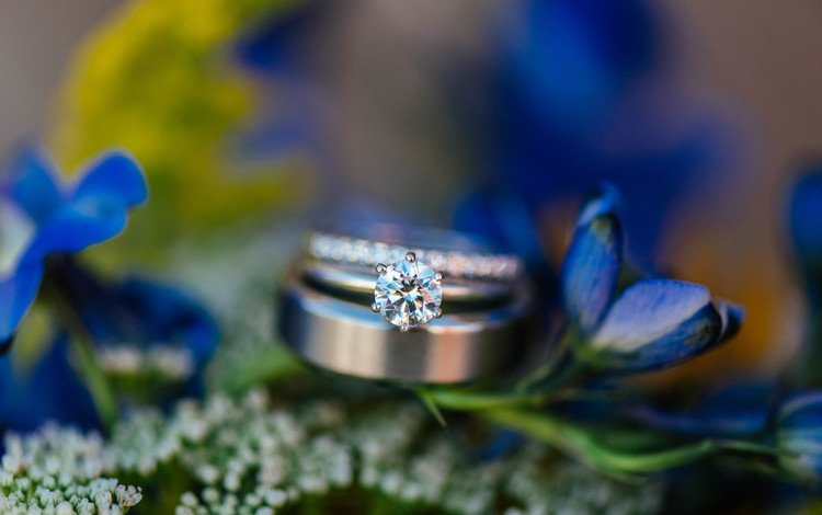 цветы, камень, кольцо, обручальное, синие лепестки, flowers, stone, ring, wedding, blue petals