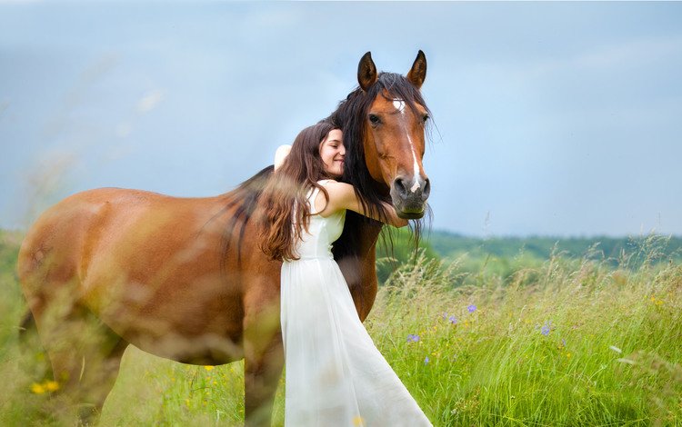природа, девушка, конь, nature, girl, horse