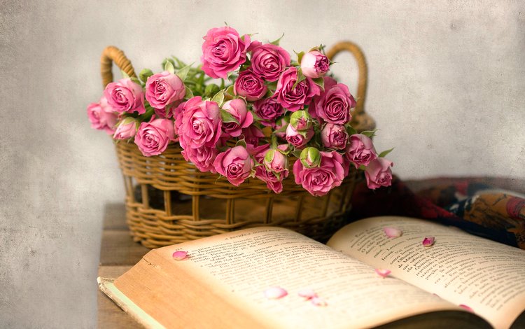 розы, лепестки, корзина, книга, roses, petals, basket, book