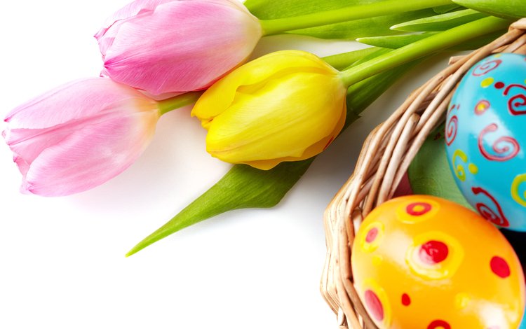 цветы, зеленые пасхальные, довольная, весна, тюльпаны, пасха, яйца, тульпаны,  цветы, глазунья, декорация, весенние, flowers, happy, spring, tulips, easter, eggs, decoration