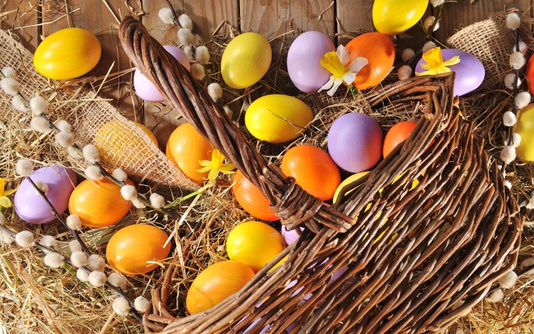 весна, пасха, яйца, праздник, дерева, верба, глазунья, весенние, зеленые пасхальные, довольная, happy, spring, easter, eggs, holiday, wood, verba