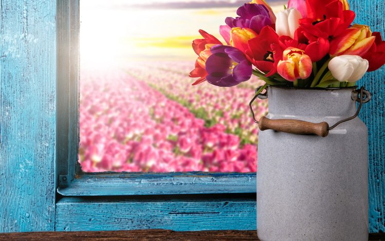 букет, тюльпаны, окно, тульпаны,  цветы, красочная, bouquet, tulips, window, flowers, colorful