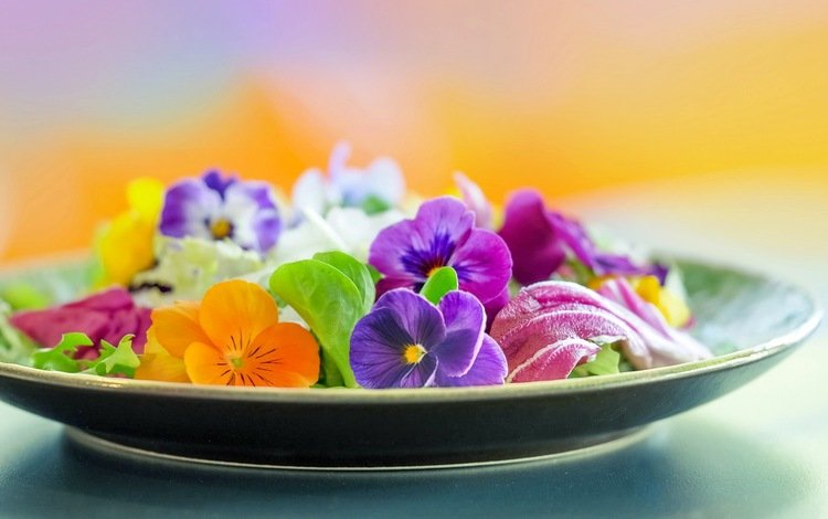 цветы, фон, тарелка, flowers, background, plate