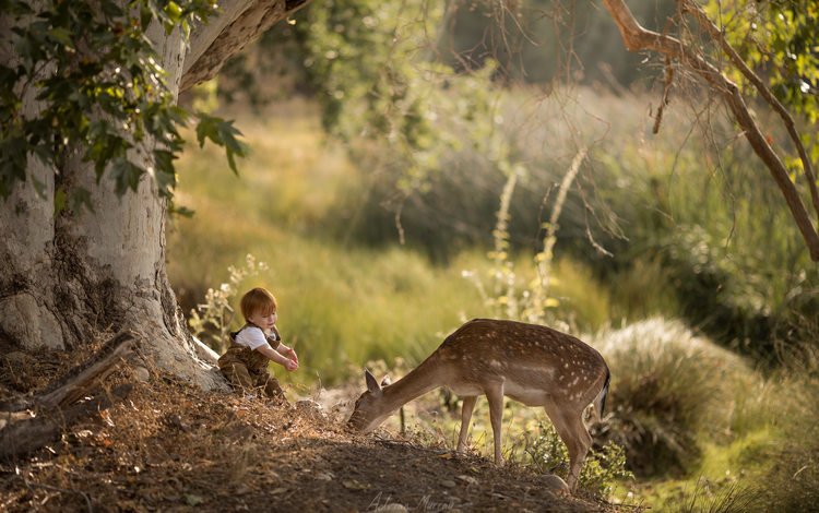 природа, малыш, лес, доброта, олень, настроение, парк, дети, ребенок, мальчик, nature, baby, forest, kindness, deer, mood, park, children, child, boy