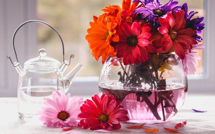 цветы, лепестки, букет, ваза, чайник, хризантемы, flowers, petals, bouquet, vase, kettle, chrysanthemum