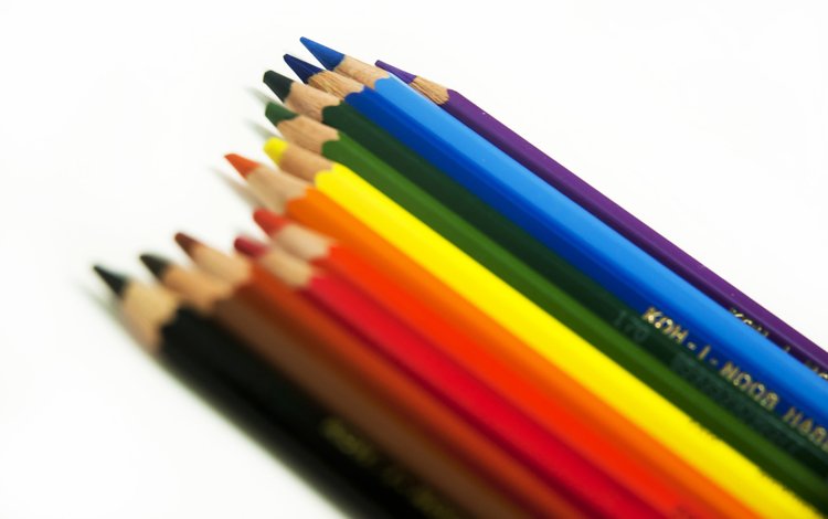дерево, графит, разноцветные, карандаши, белый фон, цветные, расцветка, дерева, карандашами, цветные карандаши, colored pencils, tree, graphite, colorful, pencils, white background, colored, colors, wood