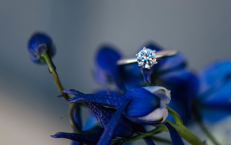 цветы, лепестки, камень, кольцо, синие, обручальное, flowers, petals, stone, ring, blue, wedding