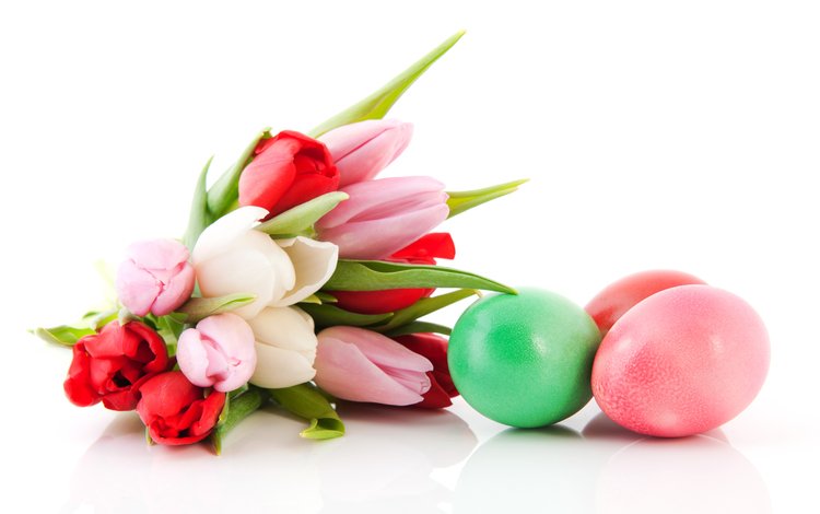 красные, весна, тюльпаны, белые, пасха, тульпаны, букеты, зеленые пасхальные, red, spring, tulips, white, easter, bouquets