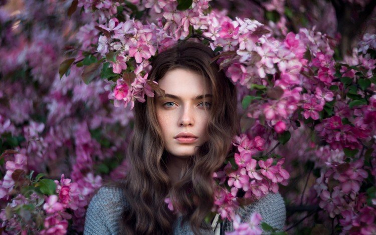 цветы, длинные волосы, цветение, девушка, портрет, взгляд, модель, весна, лицо, flowers, long hair, flowering, girl, portrait, look, model, spring, face
