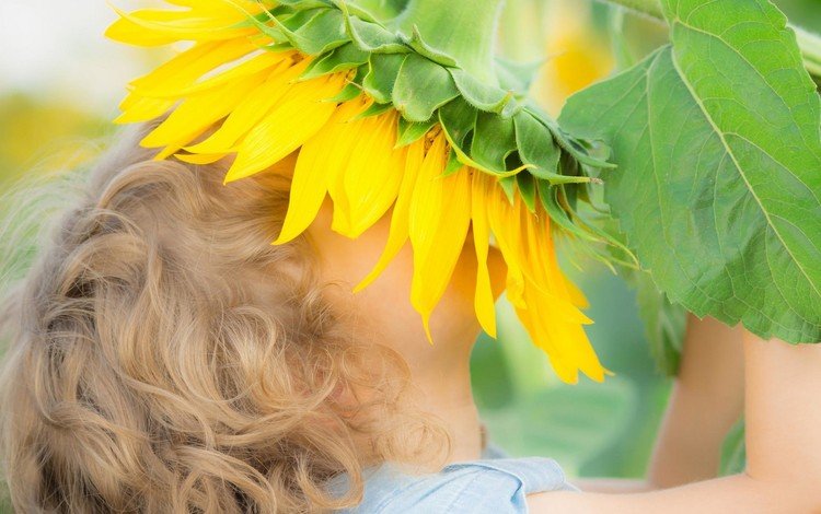 цветы, природа, дети, подсолнух, девочка, flowers, nature, children, sunflower, girl