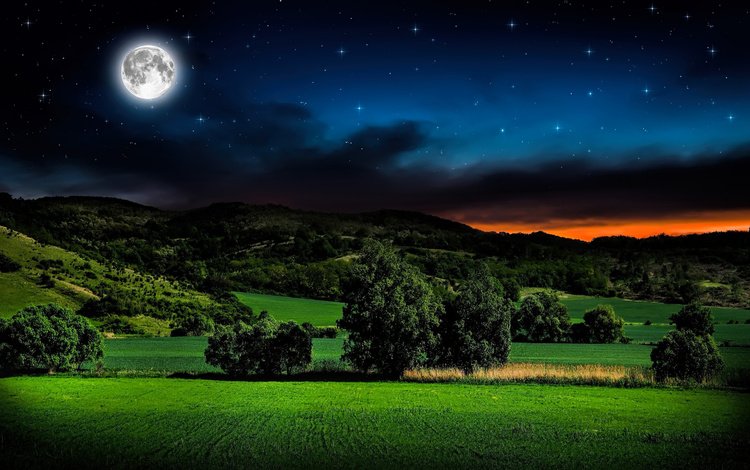 небо, трава, ночь, горы, звезды, поле, горизонт, луна, the sky, grass, night, mountains, stars, field, horizon, the moon