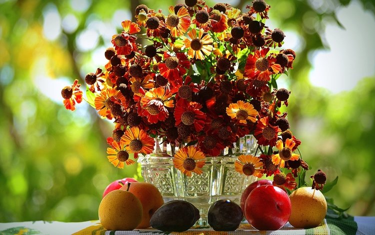 цветы, фрукты, осень, букет, натюрморт, груша, слива, гелениум, flowers, fruit, autumn, bouquet, still life, pear, drain, gelenium