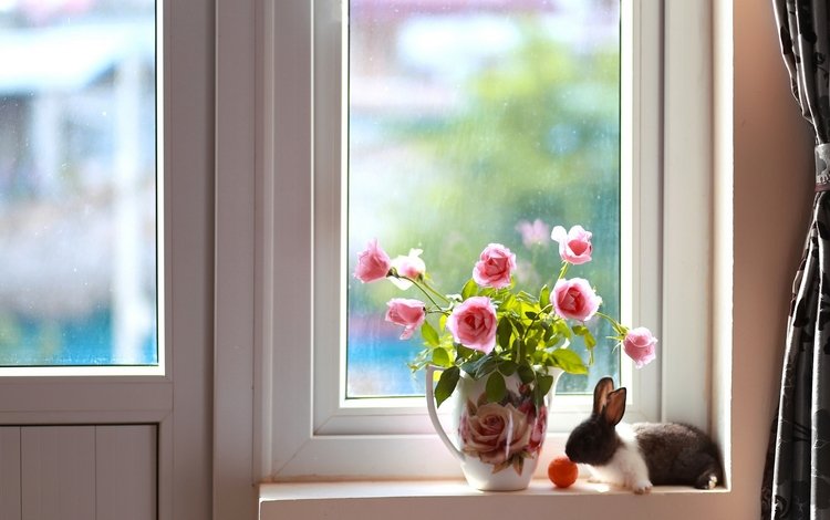 розы, букет, кролик, окно, кувшин, roses, bouquet, rabbit, window, pitcher