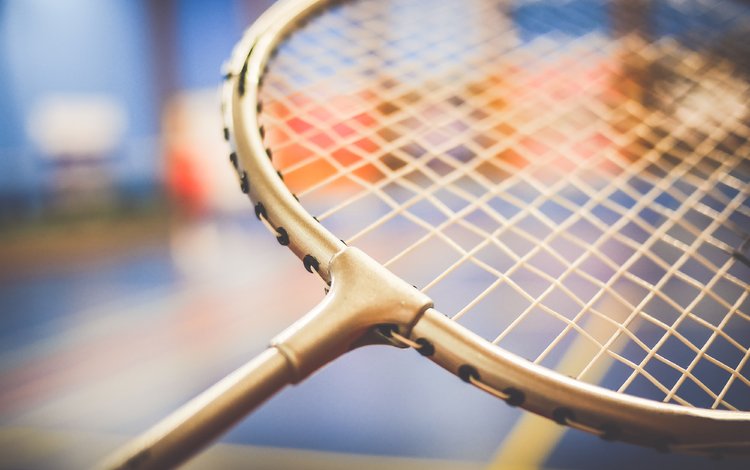 игра, ракетка, бадминтон, the game, racket, badminton